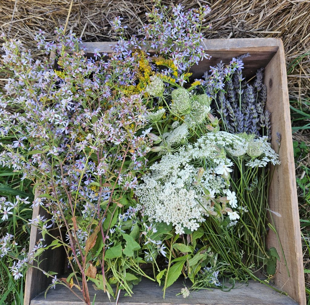 A box full of wild flowers